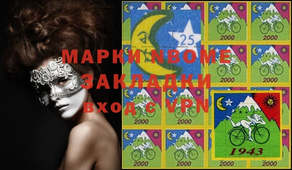 шишки Богородицк
