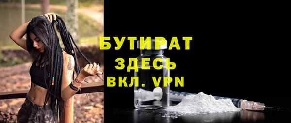 шишки Богородицк