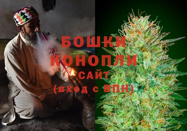 шишки Богородицк