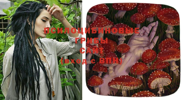 крисы Слюдянка