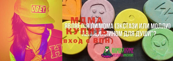 apvp Бородино